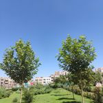 پارک گلشهر