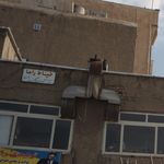 خیاط راما