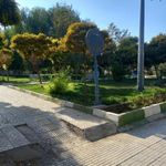 پارک حافظ
