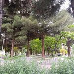 بوستان شهدای گمنام