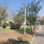 بوستان پامچال