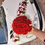 گلسرای وحید