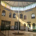 مسجد قمر بنی هاشم 