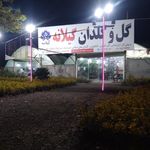 گل و گلدان گیلان