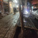 پیتزا طلوع