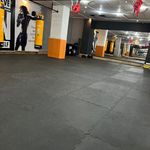 باشگاه ورزشی بانوان و کودکان آلفا