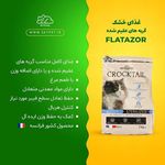 پت شاپ اسکای پت