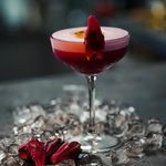 کافه کاکتوس