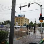 دانشگاه علمی کاربردی