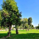بوستان دولت (پارک دولت)