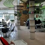 پیتزا کاکتوس