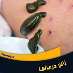 مطب طب سنتی دکتر کوروش میرزایی