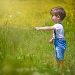 آتلیه نیم رخ