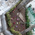 خدمات باغبانی هرسکاری گلکاری