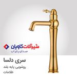فروشگاه شیرآلات و چینی آلات هومان کو