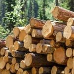 فروشگاه هنر مبل