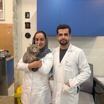 کلینیک دامپزشکی رنیسا