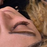 خدمات مژه ماهی مون