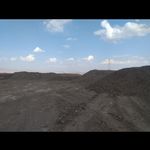 فروش عمده کود حیوانی شرکت سمناک