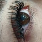 خدمات تخصصی اکستنشن مژه رخساره