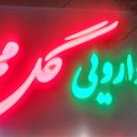 گیاهان دارویی گل محمدی