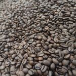 موادغذایی فدایی