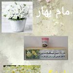 عطاری چیلی خشک بار خار بار