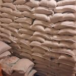 فروش برنج هاشمی  برنج طارم گرگان