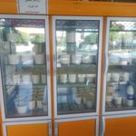 لبنیات محلی باران