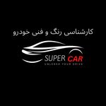 کارشناسی رنگ خودرو و فنی خودرو (سیار)