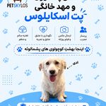 مرکز هتل پانسیون حیوانات خانگی پت اسکایلوس