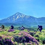 باشگاه دوچرخه سواری پارماگشت