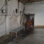 قالیشویی فادر