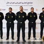 موسسه حفاظتی نظم آوران تدبیر پارسا