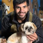 خدمات آرایشگری حیوانات خانگی عرب حلوایی