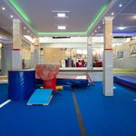 آکادمی ژیمناستیک ویوا