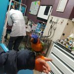 کلینیک دامپزشکی پت شاپ دنیا حیوانات