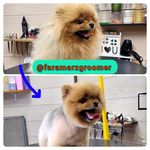 آرایشگاه حیوانات خانگی  فرامرز