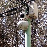 دوربین مدار بسته و دزدگیر اماکن ایمن نگر
