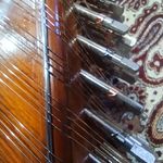 گالری موسیقی آرش