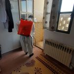 شرکت سمپاشی شیمی گستر