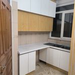 کابینت مصطفی حیدری