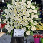 گل فروشی دنیز آنلاین (شعبه 2)