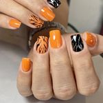 خدمات کاشت ناخن شیما حامدی