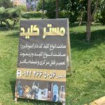 مستر کلید