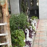 مجتمع غیردولتی مهدیه