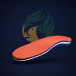 ارتوپدی فنی ویرا