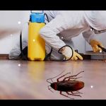 شرکت سمپاشی صحت سرای آویژه اردبیل