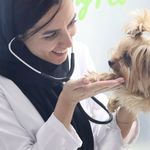 بیمارستان دامپزشکی هلسی پت