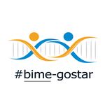 کارگزاری رسمی بیمه سانا حامی (بیمه گستر) صدور از تمامی شرکتهای بیمه